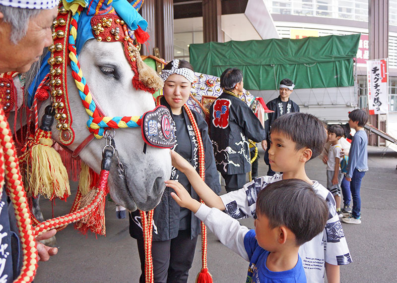 着飾った馬の顔を触って楽しむ子どもたち