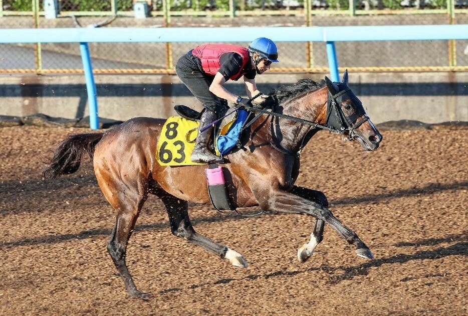 先行して渋太いシルトホルンがレーベンスティールらを制するか