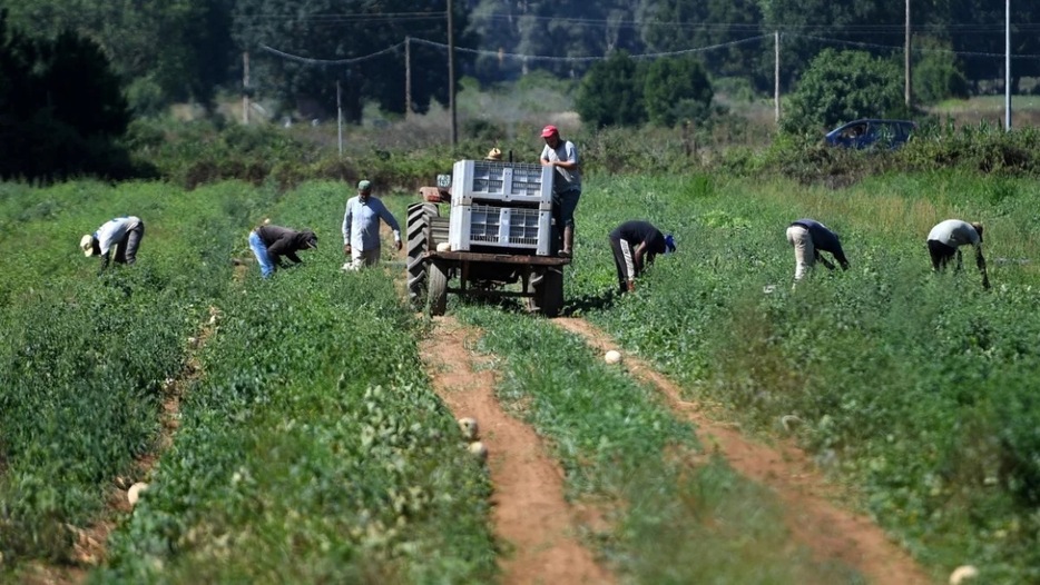 伊ローマ南郊のサバウディア近くの村で農作業に従事する出稼ぎ労働者たち