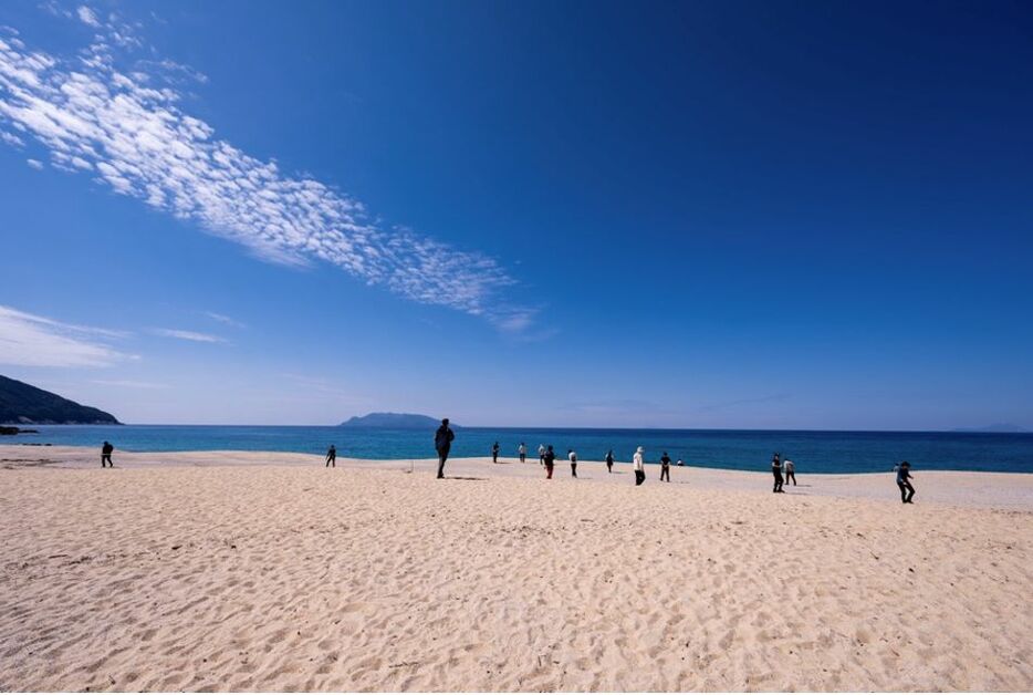 永田地区の「いなか浜」。ウミガメが産卵する美しい砂浜だ