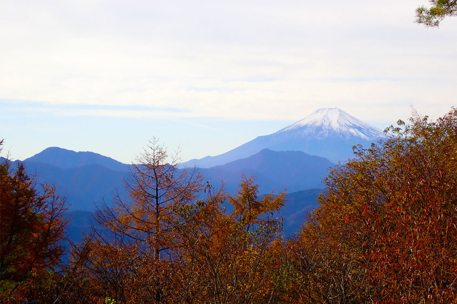 扇山から望む雄大な富士の姿