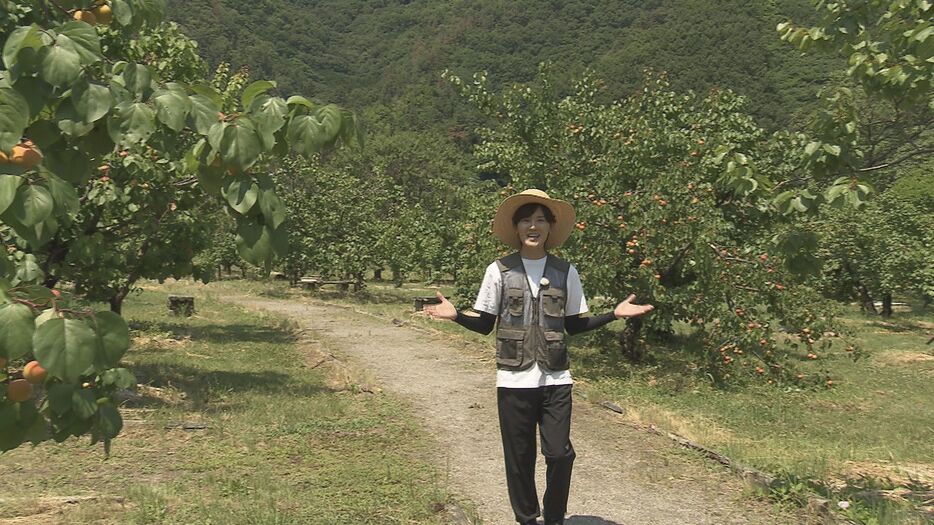 岸本慎太郎気象予報士