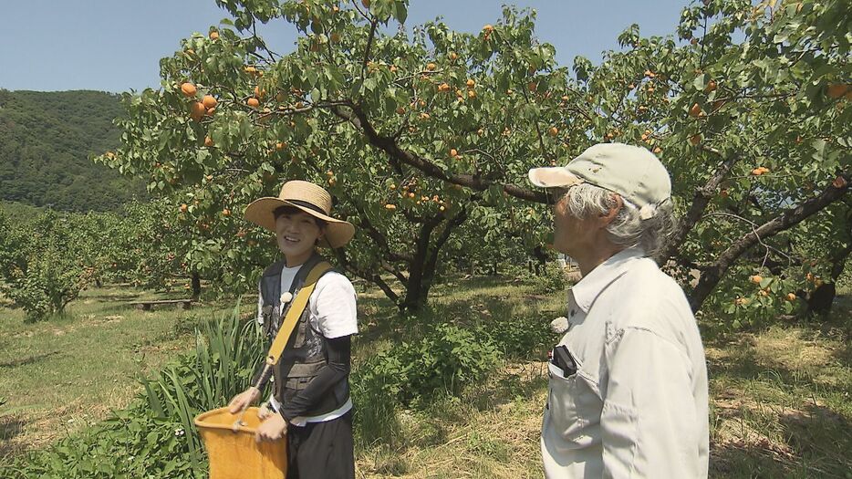 宮島さんの案内で収穫体験をする岸本気象予報士