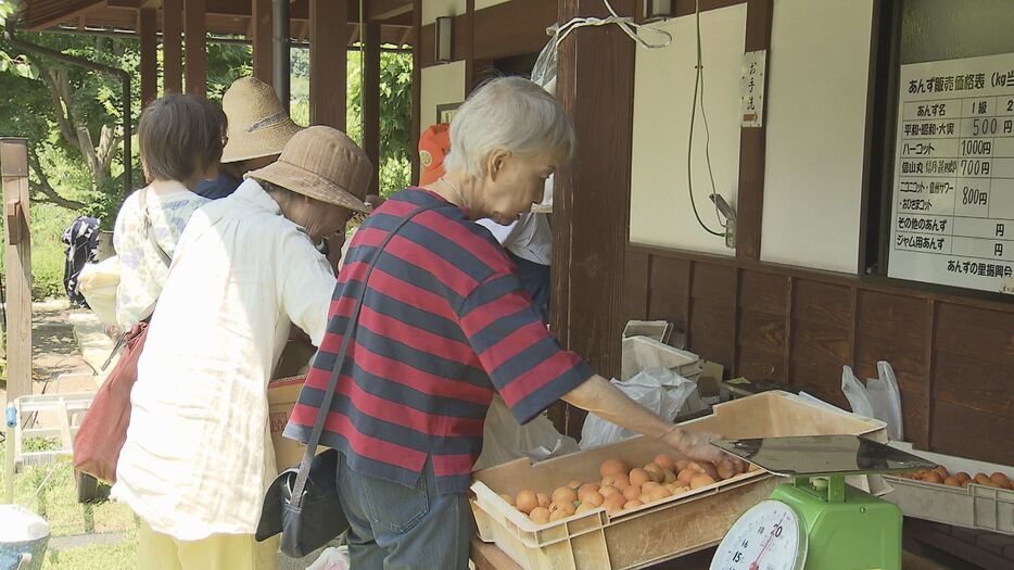 アンズの直売所も人気