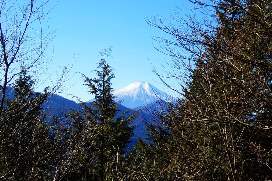 高畠から望む秀麗富士山