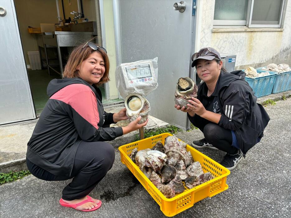 収穫した貝を出荷する上原留美さん（右）と妹の都倉かおりさん＝5月9日、伊平屋村漁業協同組合