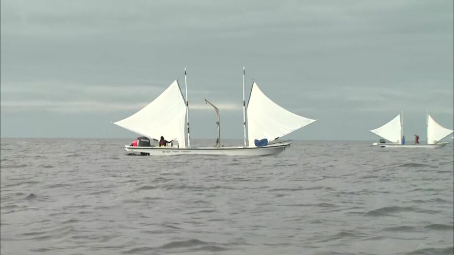 傘下の帆の漁船