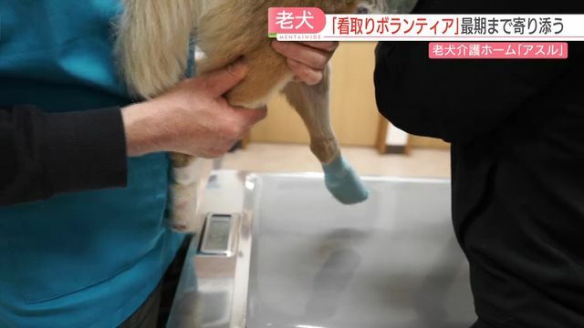 動物病院