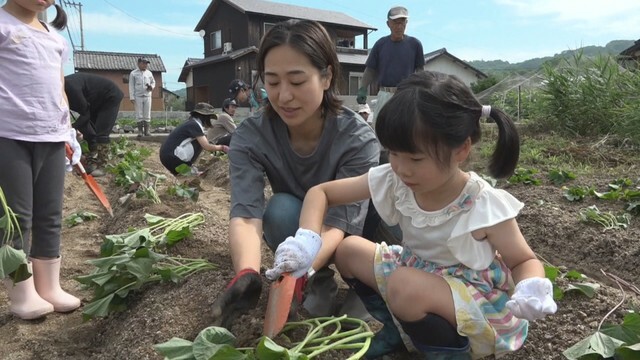 サツマイモの苗を植える子ども