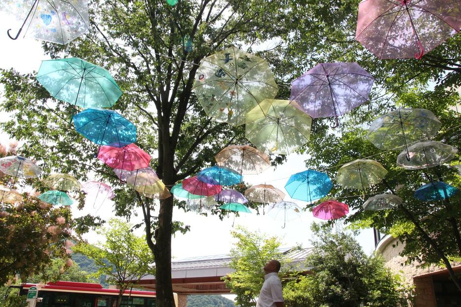 「湯っ蔵んど」の庭につるされている雨傘