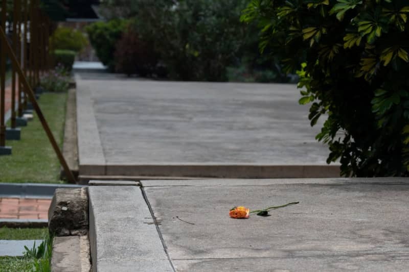 虐殺記念館の墓所に手向けられた花＝２０２４年４月２日、ルワンダの首都キガリ（共同）