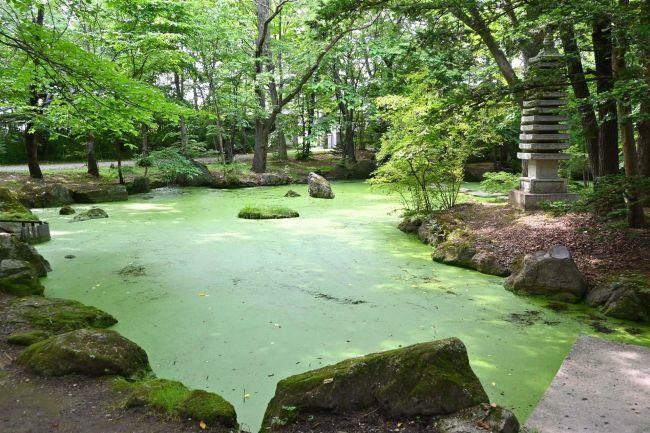 インスタ映えすると人気の「緑の池」