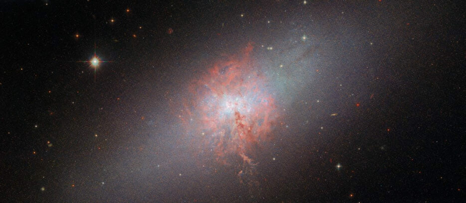 ハッブル宇宙望遠鏡の「掃天観測用高性能カメラ（ACS）」と「広視野惑星カメラ2（WFPC2）」で観測された不規則銀河「NGC 5253」