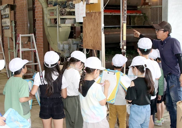 てん茶工場を見学する児童たち