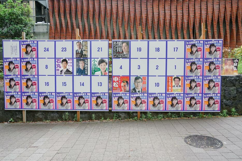 クリアファイルやキックボクサーなどのポスターが張られた東京都知事選のポスター掲示場（東京都新宿区）