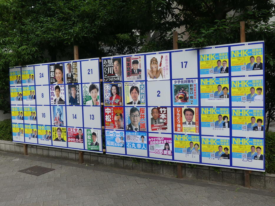 東京都知事選に出馬した候補者のポスターには、裸のようなデザインも含め、さまざまなものがあった（2024年6月20日撮影）