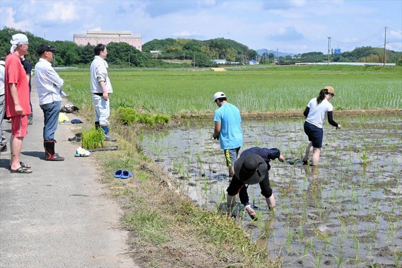 田植えに挑戦する首都圏からの参加者