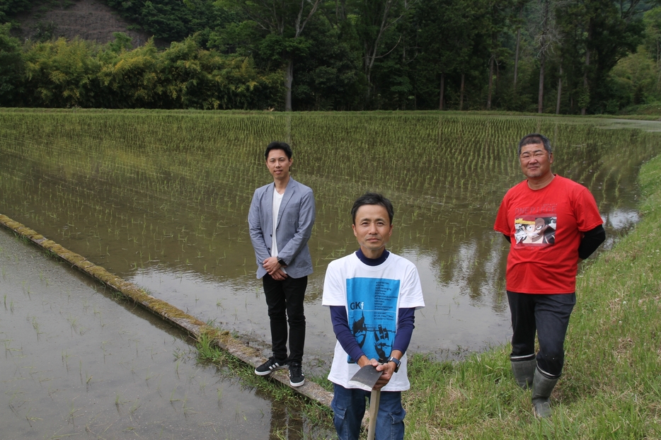 リゾットの商品開発を視野に原料米を栽培する中西さん（中央）と、清水さん（左）、西垣さん＝兵庫県丹波市山南町太田で
