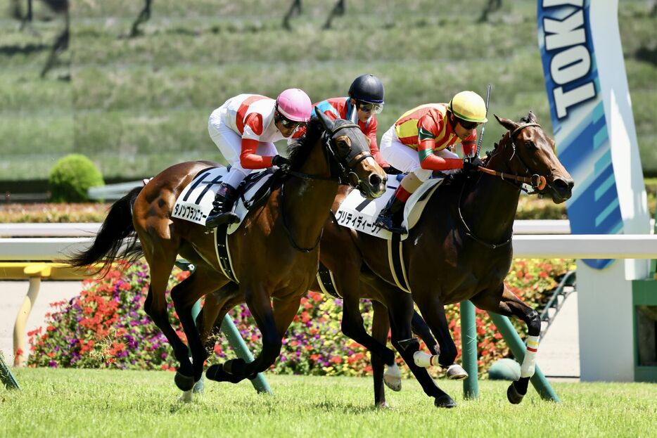 東京5R・プリティディーヴァとC.ルメール騎手 (C)animal