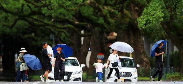 小雨が降る中、傘を差して県庁前楠並木通りを行き交う人＝８日午後、宮崎市旭１丁目