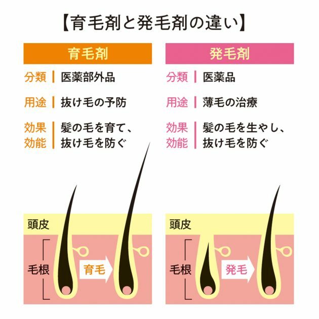 クロワッサン オンライン