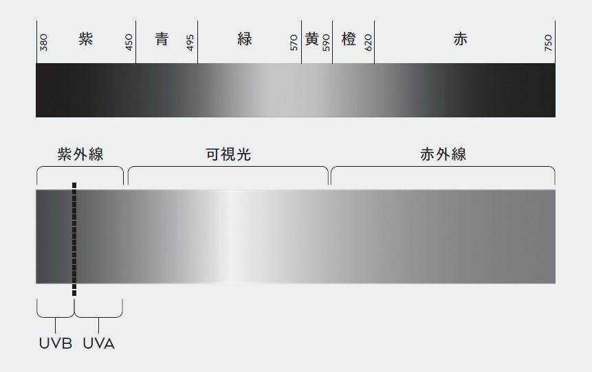 光のスペクトル図＜『美容の科学：「美しさ」はどのようにつくられるか』より＞