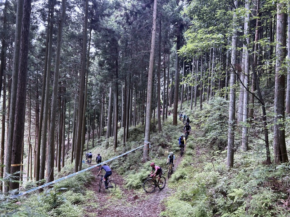 写真：Bicycle Club