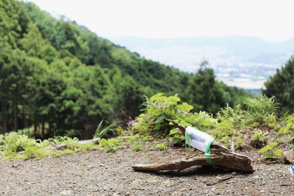 写真：Bicycle Club