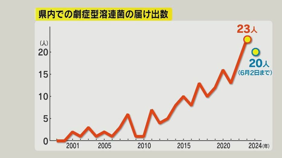 長野県内での「劇症型溶血性レンサ球菌」感染者の届出数