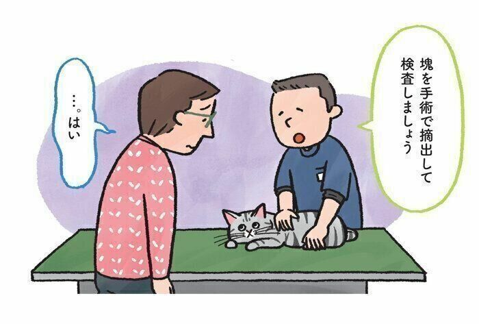 イラスト／こさかいずみ　「ねこのきもち」2024年5月号『飼い主さん、グッジョブ！ 些細なことで受診したら、愛猫に病気が見つかりました。』