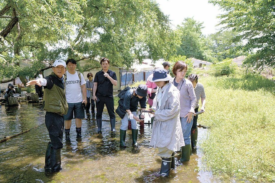 水耕地でクレソンの生産を見学する首都圏の野菜ソムリエら