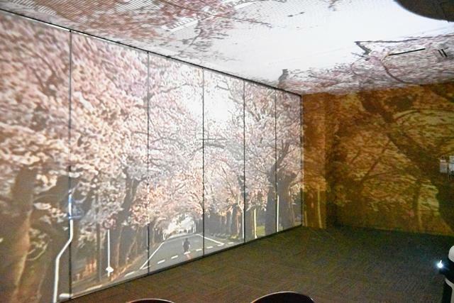 「夜の森の桜並木」を映し出した簡易型プロジェクションマッピング
