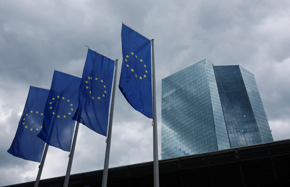 ６月１２日、欧州中央銀行（ＥＣＢ）は同日公表した報告書で、２０２３年の外貨準備に占めるユーロの比率が２０％と、１％ポイント低下したと発表した。フランクフルトのECB本部で１月撮影（２０２４年　ロイター/Wolfgang Rattay）