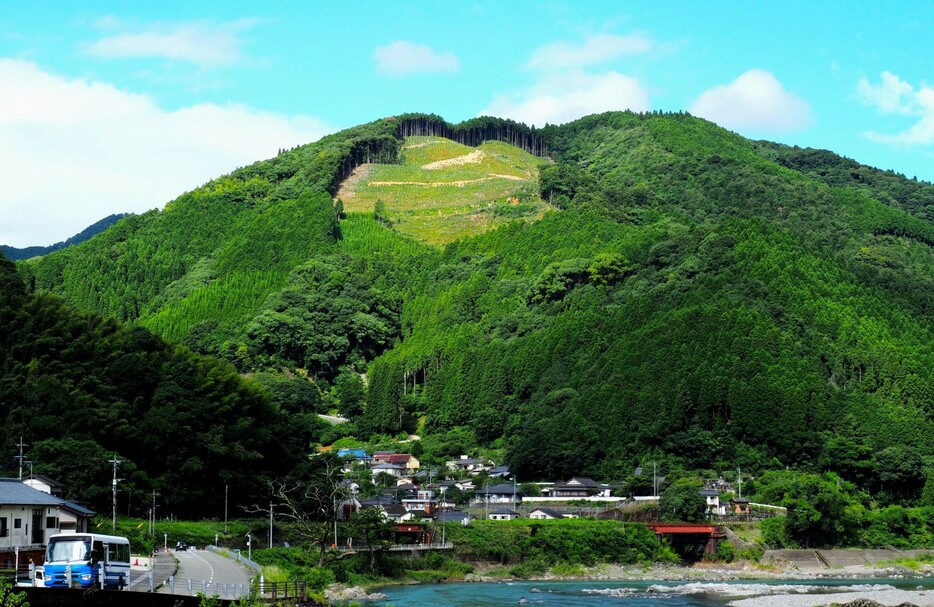 広範囲に伐採された跡（熊本県球磨村）