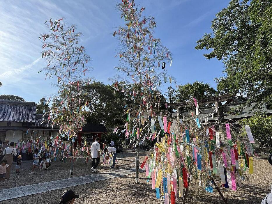 ［写真］例年に比べて竹笹の数は少ないが、地元住民からは「コロナ禍でも用意してくれてうれしい」という声も聞かれた＝7日午後5時ごろ、大阪府交野市で