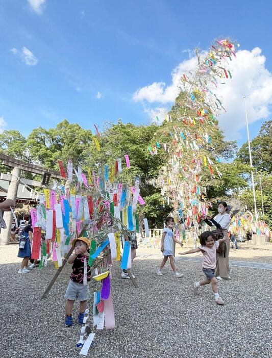 ［写真］夕方になると学校帰りの子どもらが訪れ、大きな竹笹に短冊をつるしていた。好天に恵まれ、今年は織姫は彦星に会えるかなあ？と言う小学生もいた＝7日午後5時ごろ、大阪府交野市で