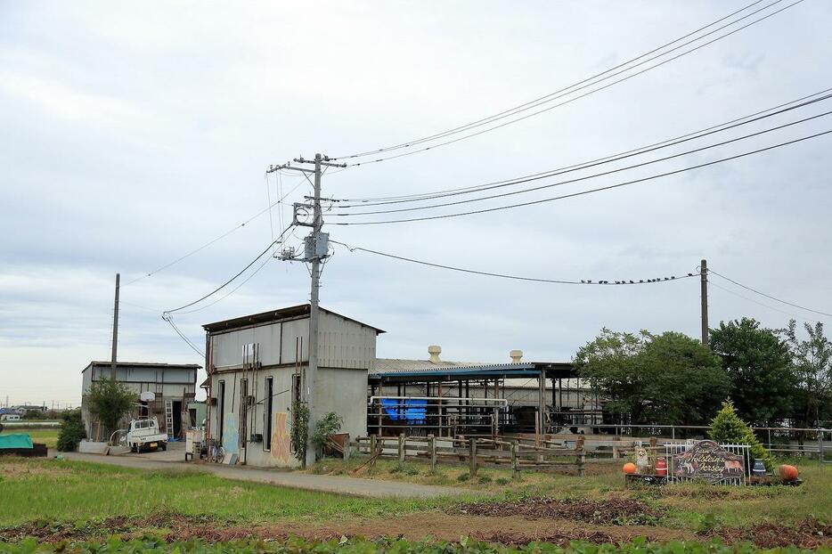 神奈川県平塚市の畜産団地にある片倉幸一さんの牧場