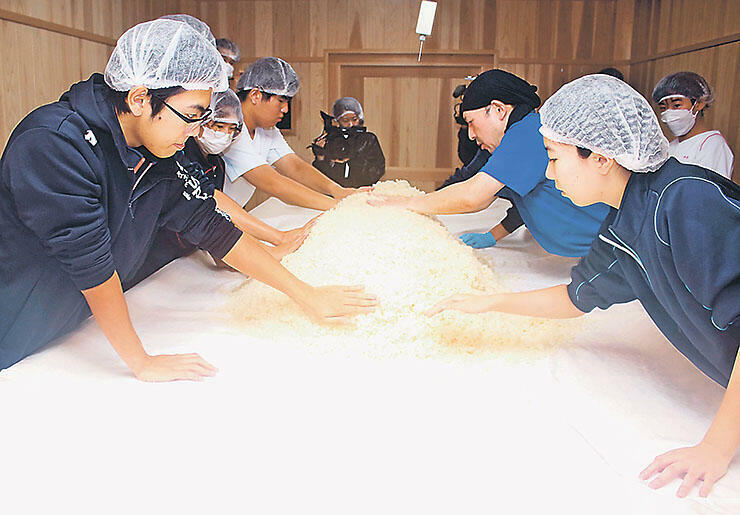 製麹室で米こうじ作りを体験する生徒ら