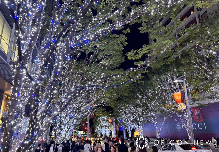 『Roppongi Hills Christmas 2024』六本木ヒルズ けやき坂イルミネーションの模様（C）ORICON NewS inc.