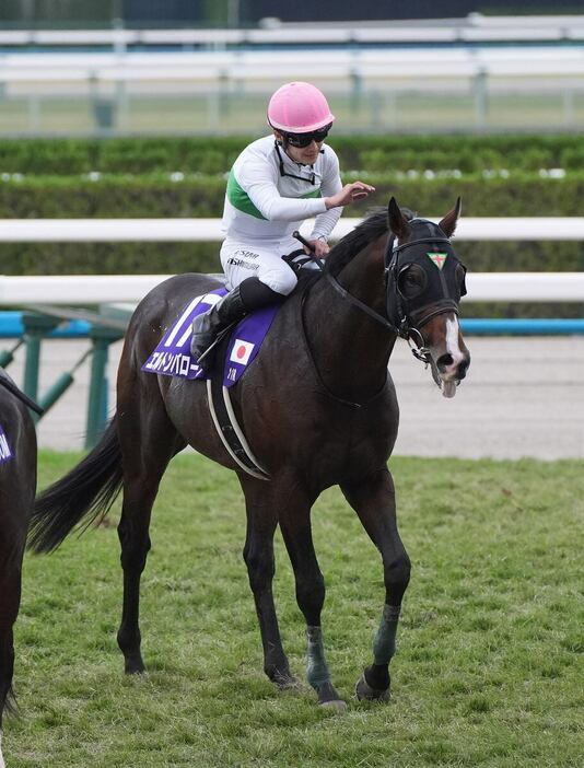 2着のエルトンバローズ。西村淳也騎手が好走をたたえた＝京都競馬場（撮影・岩川晋也）