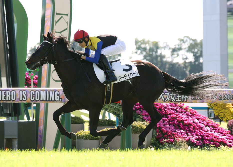 京都3R、2歳未勝利を勝ち上がったパーティハーン。鞍上の坂井騎手は年間100勝を達成する