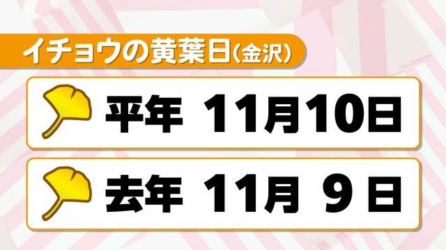 テレビ金沢NEWS