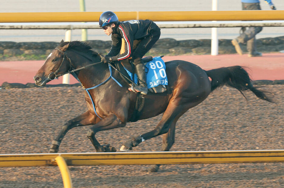 三浦騎手を背にCWコースで追い切ったラムジェット