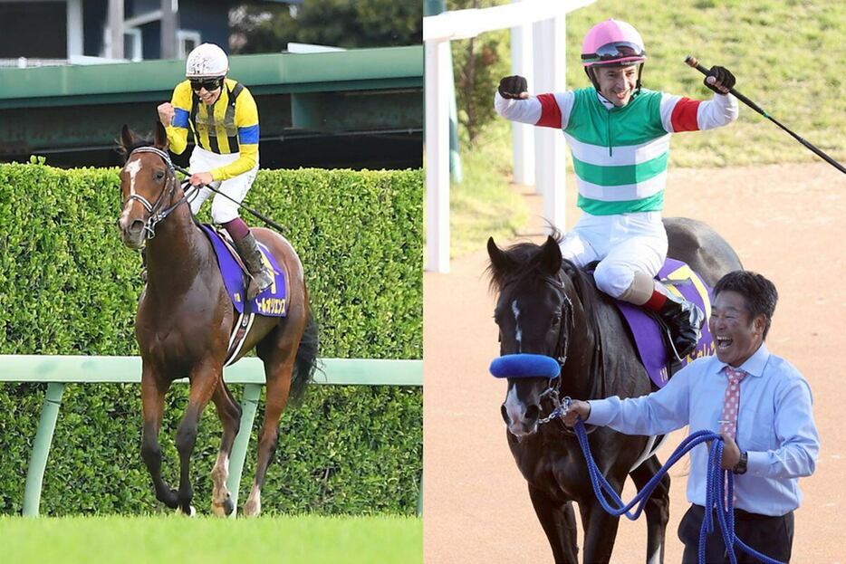 昨年の皐月賞馬ソールオリエンス（左）と菊花賞馬ドゥレッツァ