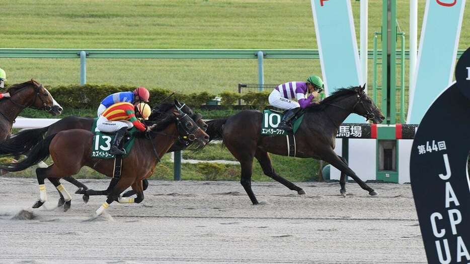 武蔵野Sを制したエンペラーワケア＝9日、東京競馬場（撮影・菅原和彦）