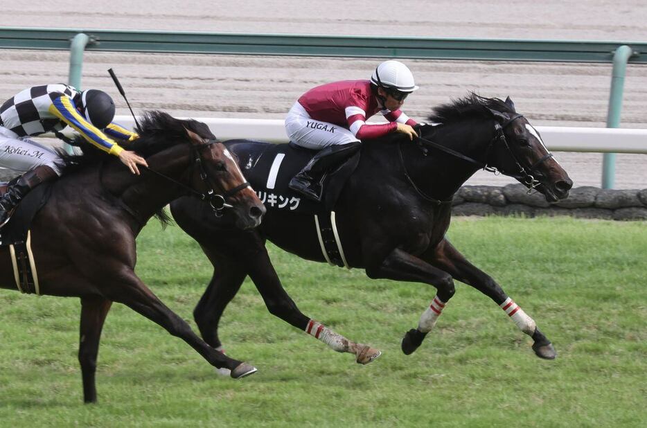 新馬戦→野路菊Sと連勝中のエリキング