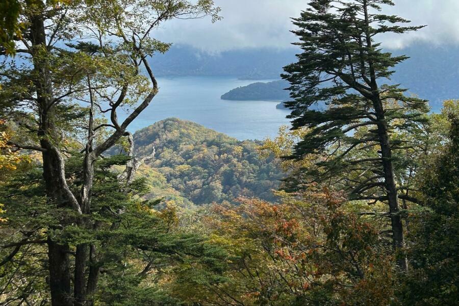 栃木県日光市高山からの景色