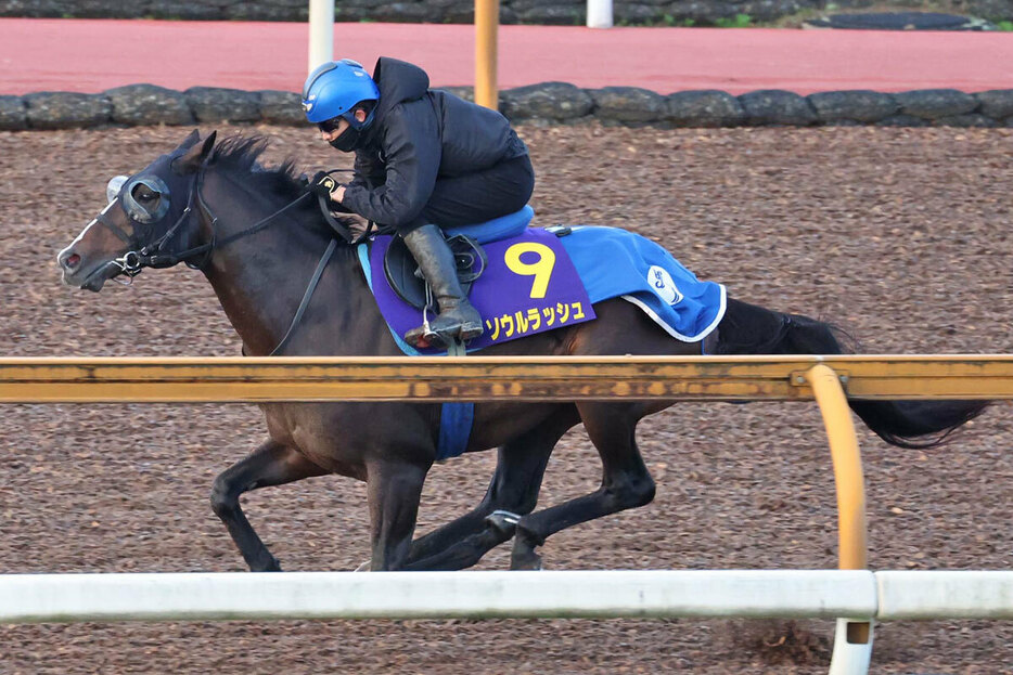 円熟期を迎えたソウルラッシュ。状態は万全だ