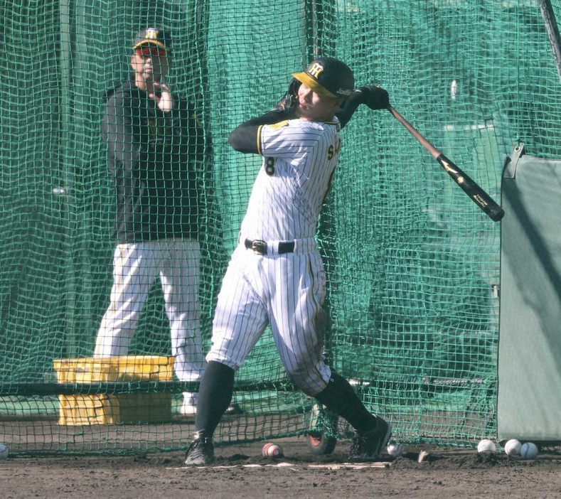 ＜阪神秋季キャンプ＞藤川監督（左）が見つめる中、ランチ特打で快音を響かせる佐藤輝（撮影・須田　麻祐子）