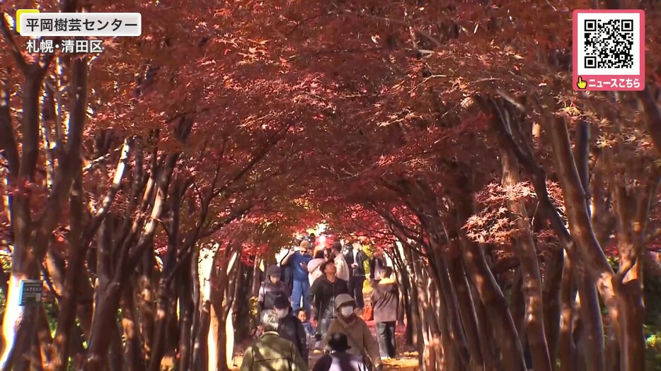 紅葉のトンネルが美しい平岡樹芸センター